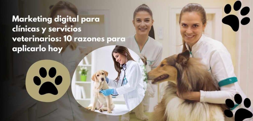 Marketing digital para clínicas y servicios veterinarios